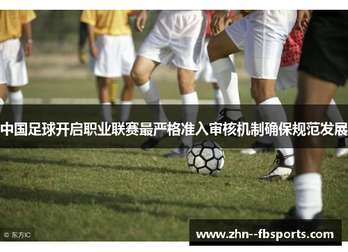 中国足球开启职业联赛最严格准入审核机制确保规范发展 中国足球开启职业联赛最严格准入审核机制确保规范发展